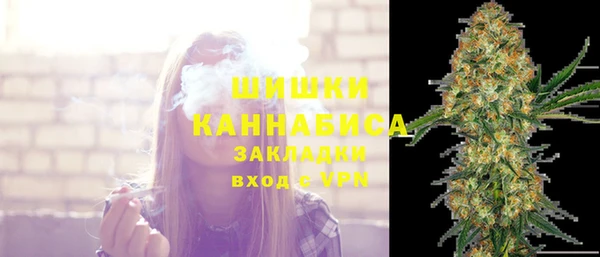 МДПВ Вязьма