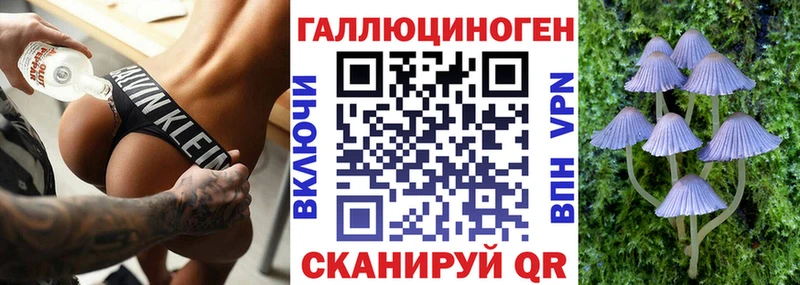 Купить  Лагань  Псилоцибиновые грибы Psilocybine cubensis 